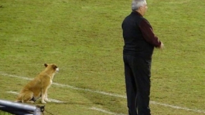 Njihuni me trajnerin që ka një qen si asistent