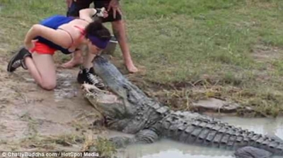 (VIDEO) Kjo vajzë është e paparë, momenti i frikshëm kur puth krokodilin