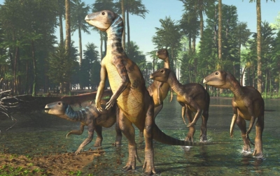 Një specie e re dinozauri zbulohet në Australi