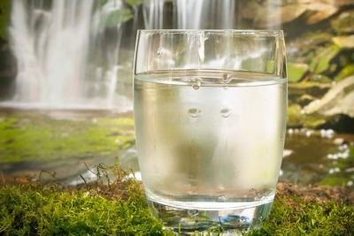 Pse duhet një gotë ujë esëll në Mëngjes – Përfitimet në Organizëm