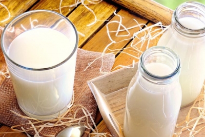 Kur duhet pirë qumështi... në mëngjes apo në mbrëmje?