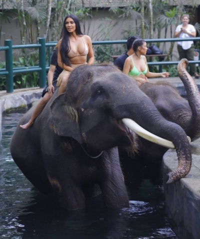 Kim Kardashian shfaqet me bikini mbi ..elefant!