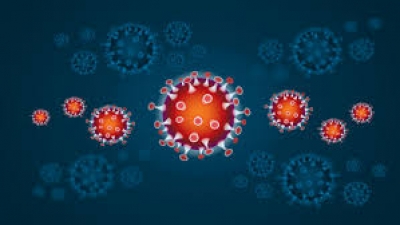 Koronavirusi përhapet frikshëm në SHBA, Nju Jorku i godituri më rëndë. Ja shifrat