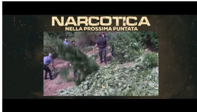 VIDEO/ &#039;Narcotica&#039;, Televizioni publik italian dokumentar për Shqipërinë: Kopshti i Kanabisit në Europën Juglindore