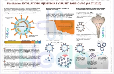 Varianti i SARS-CoV-2 me mutacionin që shkakton përhapje më të lartë po dominon