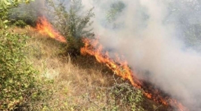 Dhërmi, zjarri përfshin sipërfaqe me shkurre dhe kullota