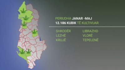 Rikthehet mbjellja e hashashit në 6 qarqe
