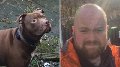 Qeni sulmon të zotin, 35 vjeçari vdes në vend