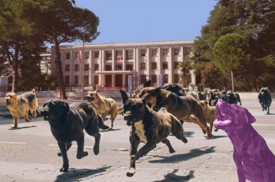 E gjithë qenëria në sulm kundër Presidentit