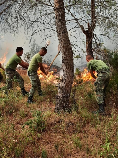 DW: Flakë në Veri e në Jug të Shqipërisë, ende vatra zjarri agresive