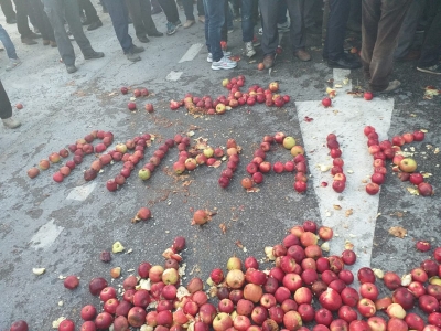 Fotolajm/ Fermerët e Devollit ne protestë, shkruajnë me mollë “Rama ik”