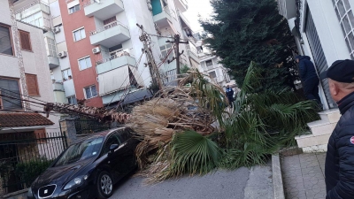 Stuhia e erës shkakton probleme me rrjetin e energjisë elektrike, këputet fideri në Selitë të Tiranës