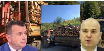 VIDEO/ Prerje pyjesh 200-vjeçarë në Malin e Polisit, Malltezi: Ja si Balla po kafshon mushkëritë e shqiptarëve