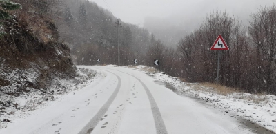 FOTO+VIDEO/ Bien reshjet e para, bora shtron petkun e bardhë në Dardhë të Korçës