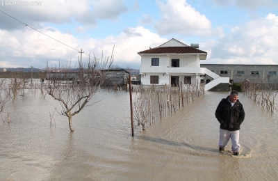 Reshjet e dendura të shiut/ Përmbyten dhjetëra hektarë tokë dhe disa banesa në Kurbin