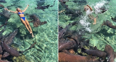 Shokuese/ Po bënte foto për Instagram, kafshohet nga peshkaqeni