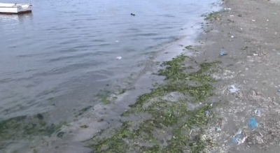 Plazhet e Vlorës të ndotura nga ujërat e zeza dhe plehrat