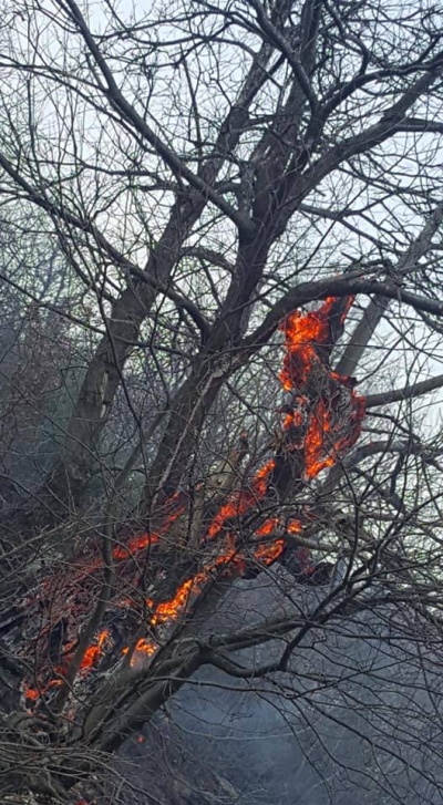 Shqipëria në tym e flakët e qëllimshme