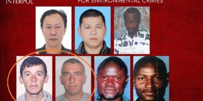 Dy korçarët në listën e më të kërkuarve të Interpol/ Mbani të qeshurën, ja për çfarë akuzohen…