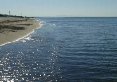 FOTO/ Kush e njeh këtë fëmijë, të njoftojë prindërit