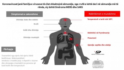 Koronavirusi më 4 shkurt 2020: Situata aktuale ndërkombëtare sipas ISHP