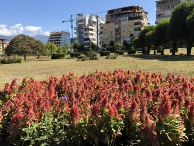 Beteja për Kopshtin Botanik