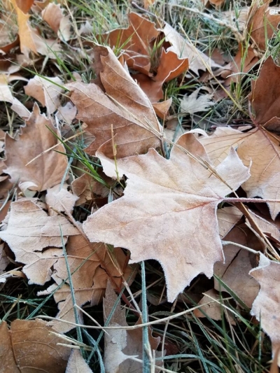 Mëngjesi nisi i acartë, temperaturat nën zero gradë. Sinoptikanët: Ja si do të jetë moti ditët në vijim