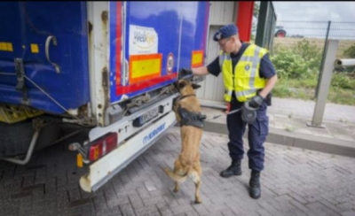 Goditet banda e klandestinëve, 2 në pranga, fitonin shuma marramendëse