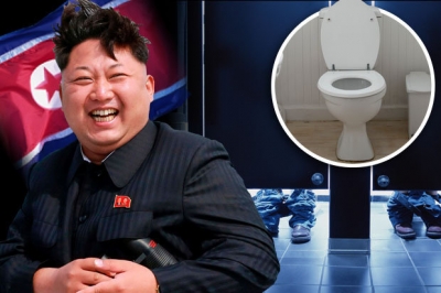 Në Korenë e Jugut me WC me vete