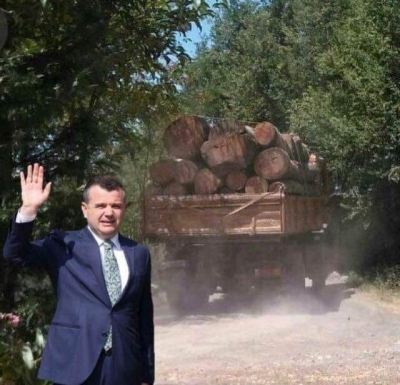 VIDEO/ ‘Çunat e Taulantit’ nuk ndalen, ja si shkojnë varg kamionët me dru mes aksit kombëtar