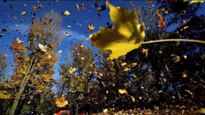 Nesër lëreni çadrën në shtëpi, por vishuni trashë