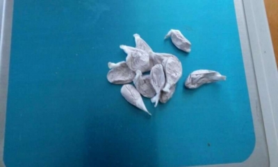 Shiste klokainë me doza, arrestohet fieraku