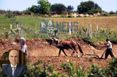 Panariti ngre alarmin: Shkurtimi i fondeve po e çon bujqësinë drejt ‘tharjes’ dhe shkretimit