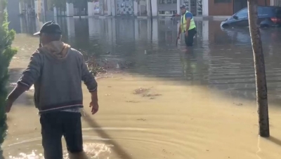 Vlora zgjohet nën ujë, Rama bën postime me kafshë të egra