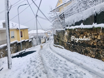 Acari pushton Shqipërinë/ Ja sa bien temperaturat