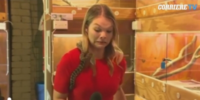 ‘Po kafshon’, gazetarja australiane ndërpritet nga gjarpëri