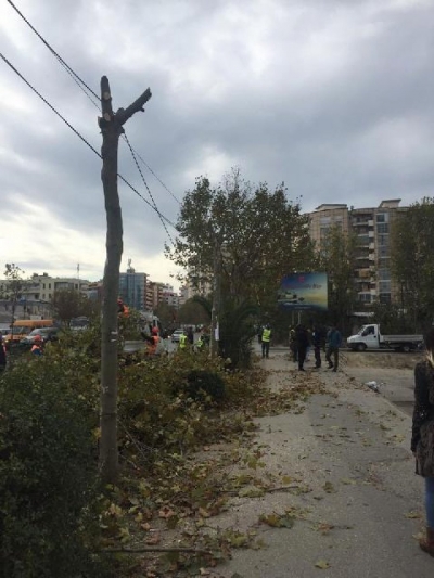 VIDEO/ Nis prerja e pemëve në Astir, banorët të vendosur: Shtëpitë i mbrojmë me gjak