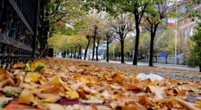 Ngrihen pak temepraturat, sot priten shirat e parë