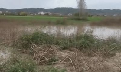 VIDEO/ Ishmi del nga shtrati, përmbytje në fshatin Murqinë