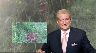 VIDEO/ Berisha: Në narkoshtet vlerë ka hashashi jo prodhimet bujqësore