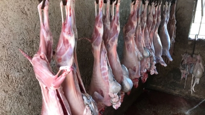 115 kg mish u sekuestruan në një fshat të Delvinës/ Tregtim jashtë standarteve