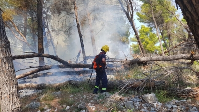 Flakë të mëdha në Elbasan, digjen thuajse 2 Ha pyje