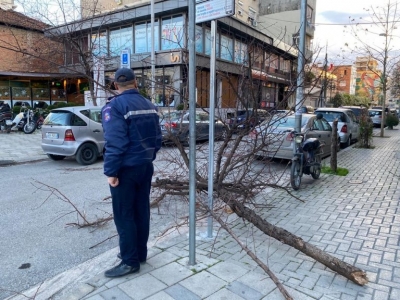 ‘Kujdes kur kaloni pranë pallateve! Evitoni pemët dhe objektet që rrezikojnë rënien&quot;