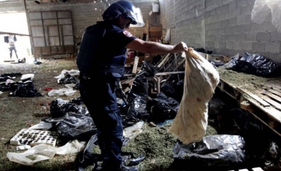 ‘Bomba’ e diplomatit: Shqipëria është narko-shtet, kapet vetëm 5 përqind e drogës