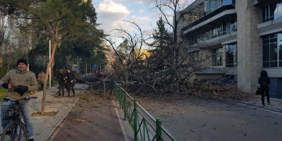 Moti i keq me erë të fortë dhe temperatura -11 gradë. Rrëzohen pemë dhe depozita uji në Tiranë