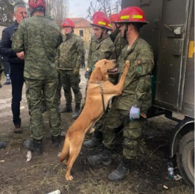 “Sadak”, qeni hero nga Kosova që ka shpëtuar jetë