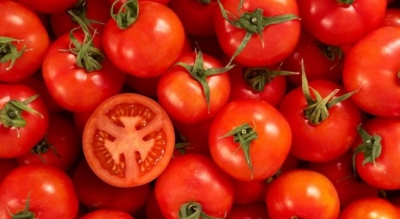 Vetitë e lëngut të domates
