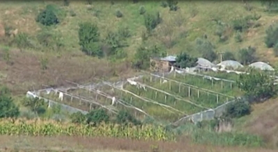 Nuk kanë treg shitje, fermerët e Lushnjës braktisin serat