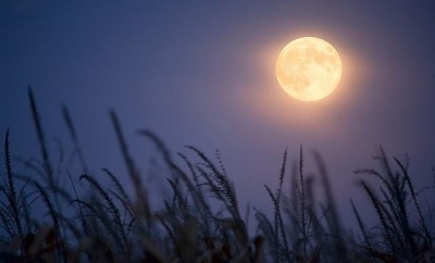 Nesër është e Premte 13 – Pas 19 vjetësh do të ndodh sërish “Hëna e Vjeljes”