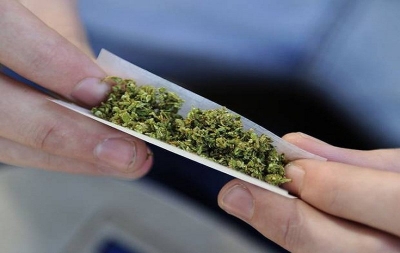 Legalizimi i kanabisit/ Ish-deputeti e pranon: Kam pirë hashash ....